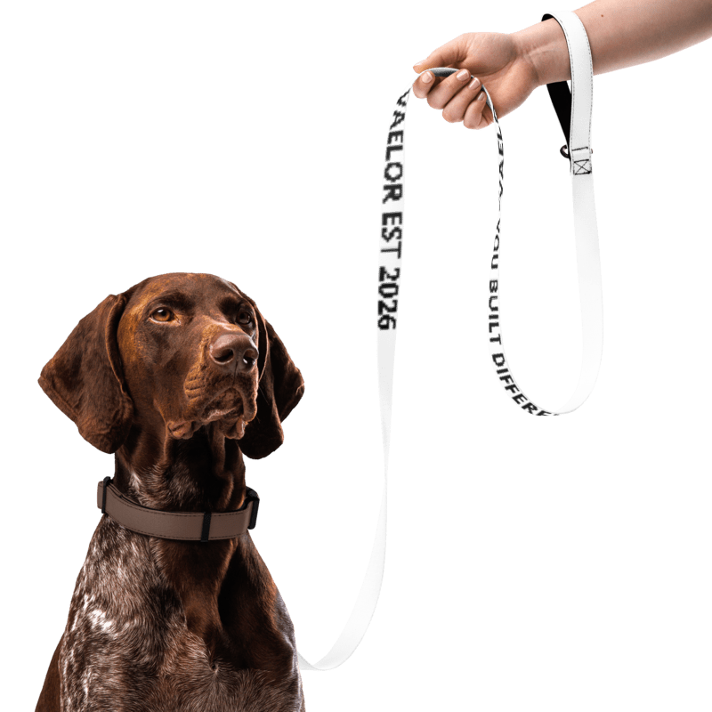VAELOR Signature Leash – Built Different Edition (6ft)